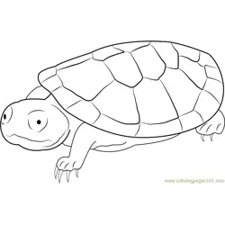 Sad Turtle Free Coloring Page for Kids