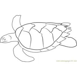 Swimming Turtle Free Coloring Page for Kids