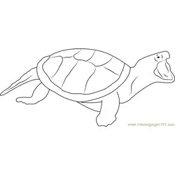 Turtle Attacking Free Coloring Page for Kids