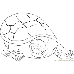 Turtle Mouth Free Coloring Page for Kids