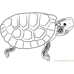 Amazon River Coloring Page