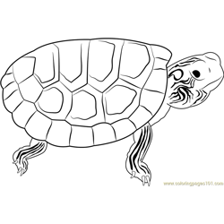 amazon river coloring page