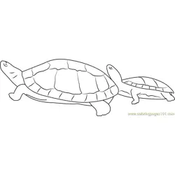 Turtles Going to Water Free Coloring Page for Kids