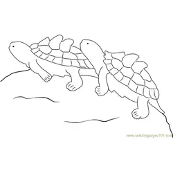 Two Turtle Free Coloring Page for Kids