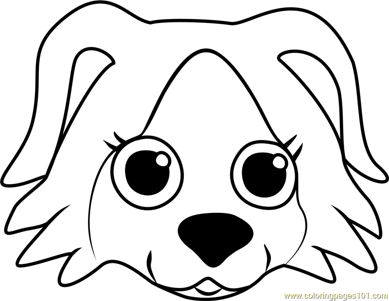 Border Collie Puppy Face Coloring Page for Kids - Free Pet Parade