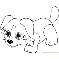 Bernese Free Coloring Page for Kids
