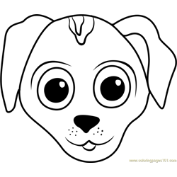 European Shorthair Puppy Face Free Coloring Page for Kids