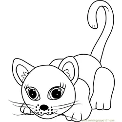 European Shorthair Free Coloring Page for Kids