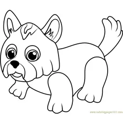 Yorkshire Terrier Free Coloring Page for Kids