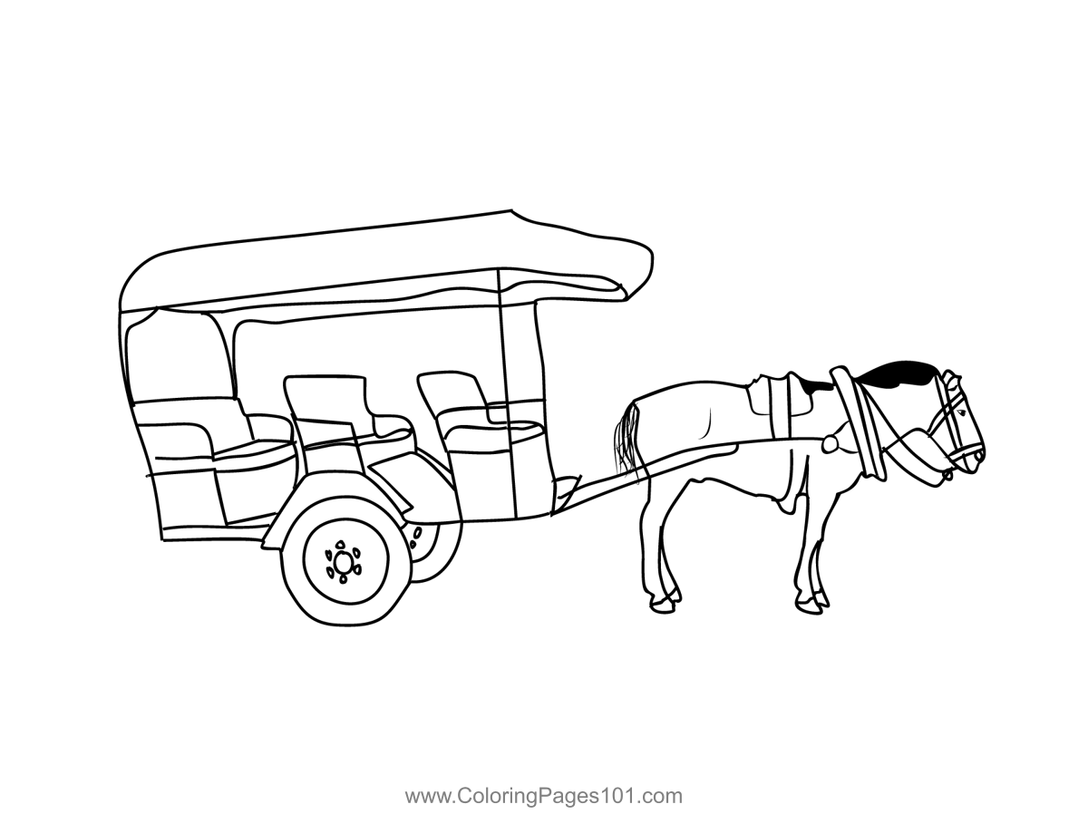 Tourist Horse Cart