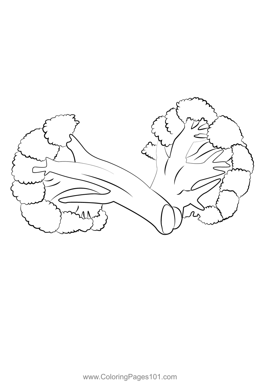 Broccoli 1 Coloring Page for Kids - Free Broccoli Printable Coloring