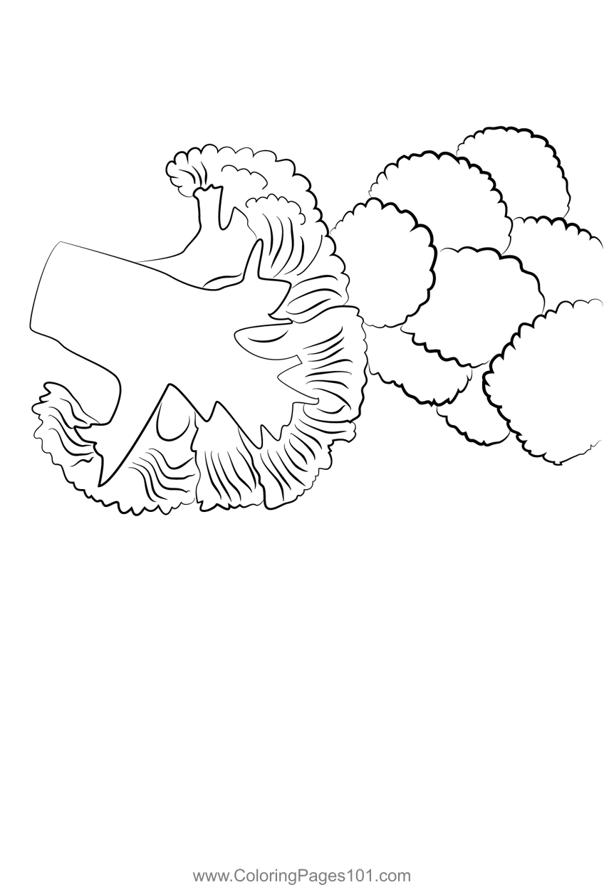 Broccoli 2 Coloring Page for Kids - Free Broccoli Printable Coloring
