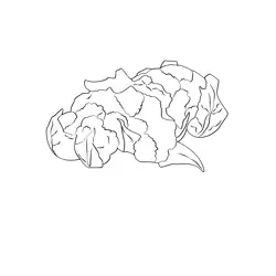 Cauliflower 1 Free Coloring Page for Kids