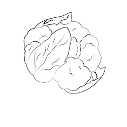 Cauliflower 2 Free Coloring Page for Kids