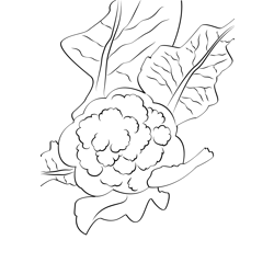Cauliflower 3 Free Coloring Page for Kids