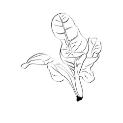 Chard 3 Free Coloring Page for Kids