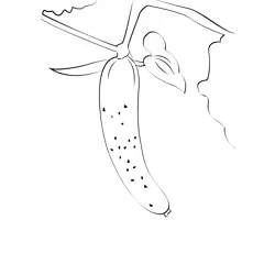 Cucumbers 3 Free Coloring Page for Kids