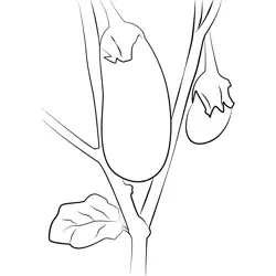 Eggplant 3 Free Coloring Page for Kids
