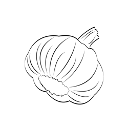 Garlic 1 Free Coloring Page for Kids