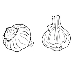 Garlic Free Coloring Page for Kids