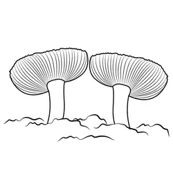 Fresh Fungus Free Coloring Page for Kids