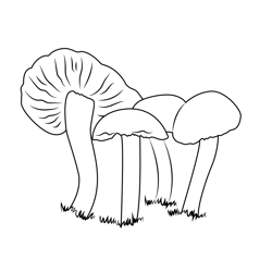Fungus Free Coloring Page for Kids