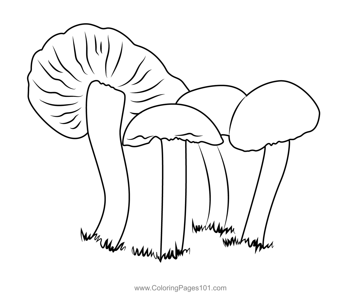 Fungus Coloring Page for Kids - Free Mushrooms Printable Coloring Pages