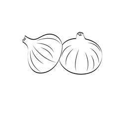 Onion 1 Free Coloring Page for Kids