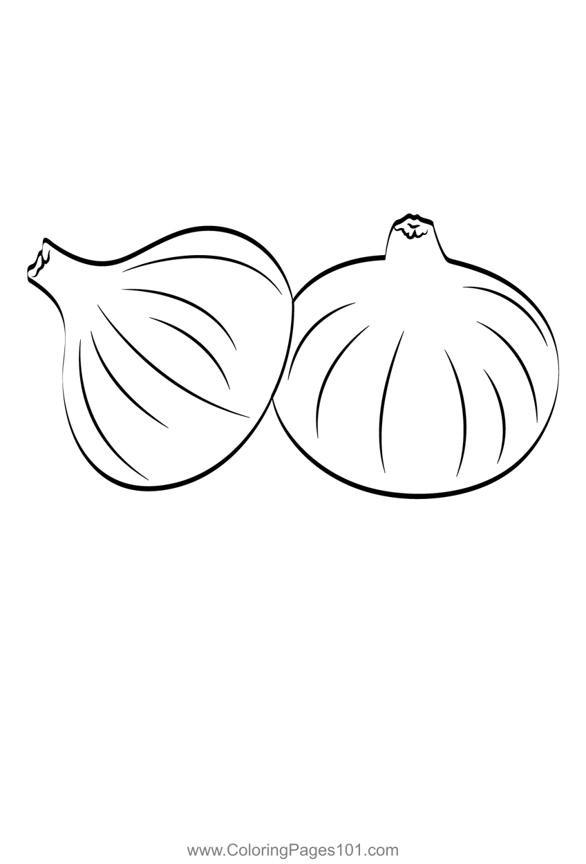 Onion 1