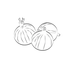 Onion 3 Free Coloring Page for Kids