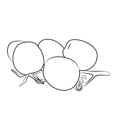 Bunch Of Juicy Tomatoes Free Coloring Page for Kids