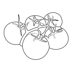 Colorfull Tomatoes Free Coloring Page for Kids