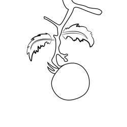 Tomato Free Coloring Page for Kids