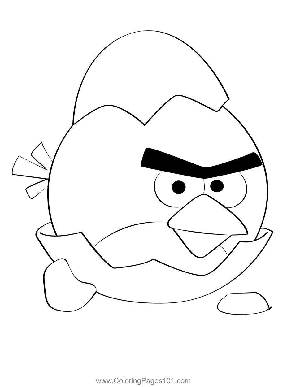 Angry Birds In Egg