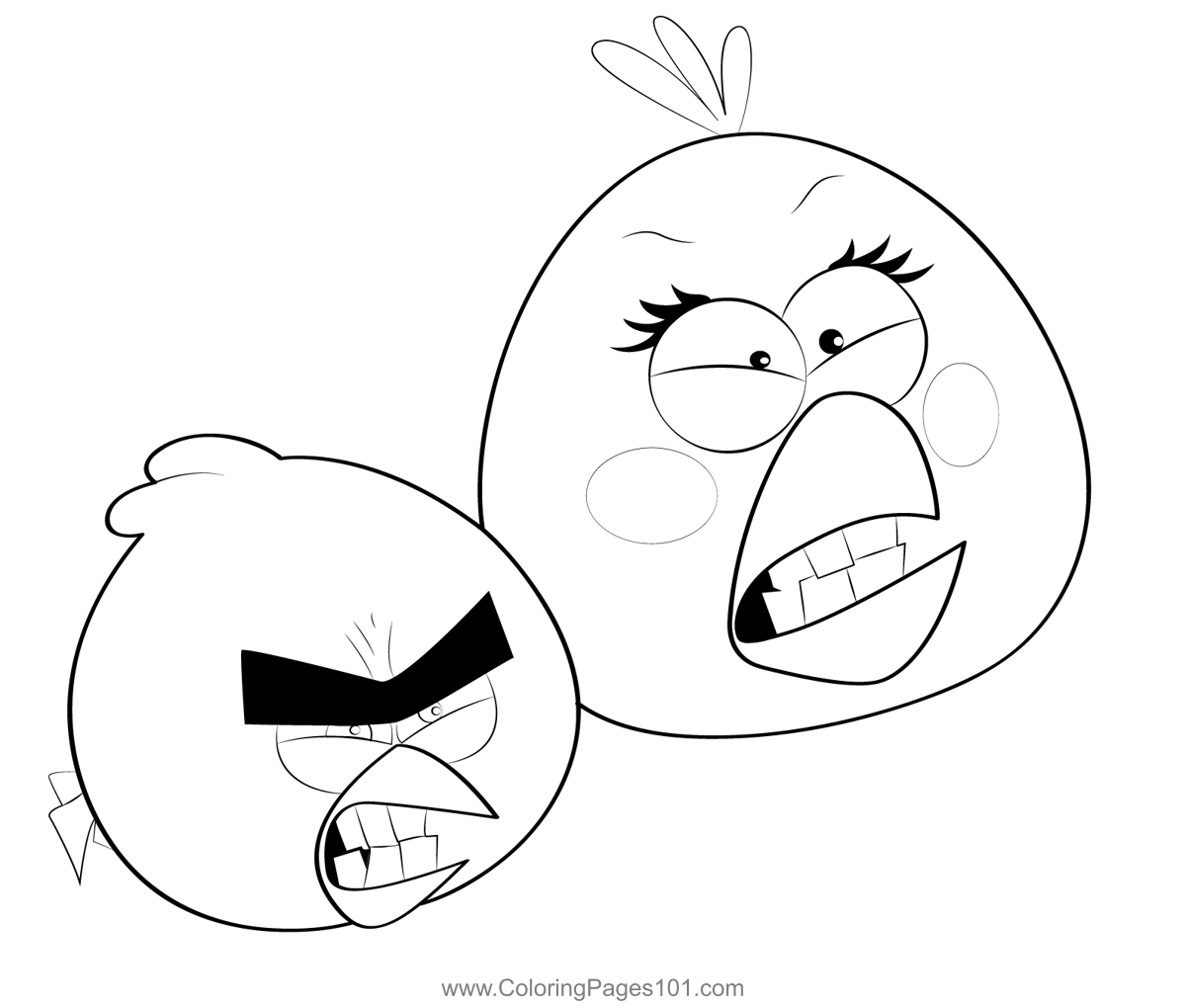 Two Angry Birds