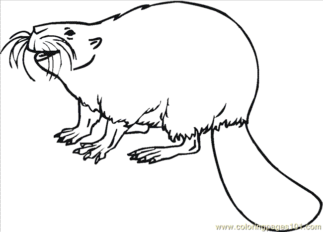 Coloring Pages Beaver 14 Coloring Page (Animals > Beaver) - free ...
