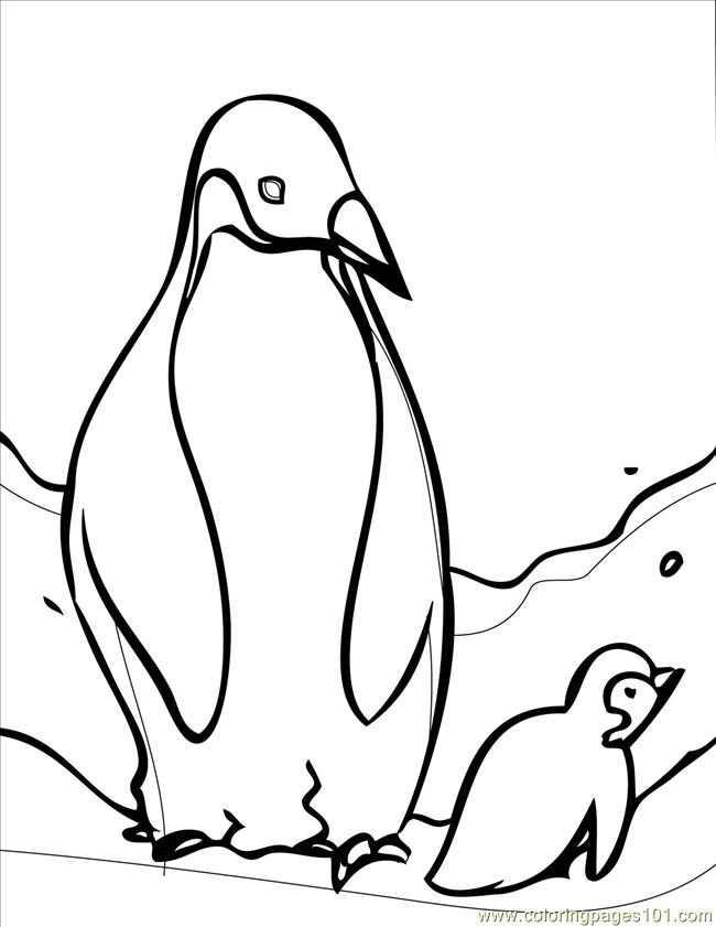 Coloring Pages Emperor Penguin Ink (Birds > Penguin) - free printable ...
