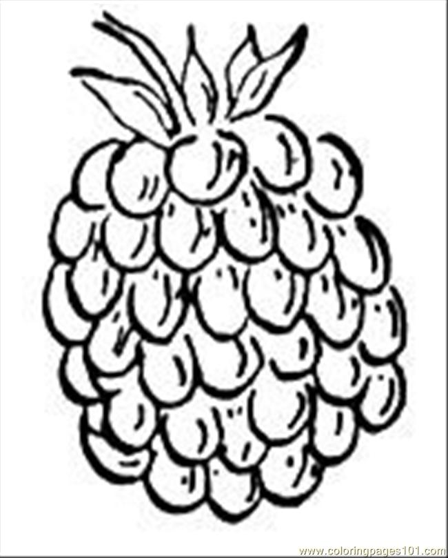 Coloring Pages Raspberry 1 (Food & Fruits > Raspberries) - free