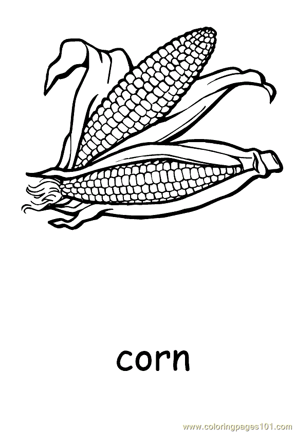 Coloring Pages Vegetable Coloring - Vegetablecoloringpage15 Msnoa 